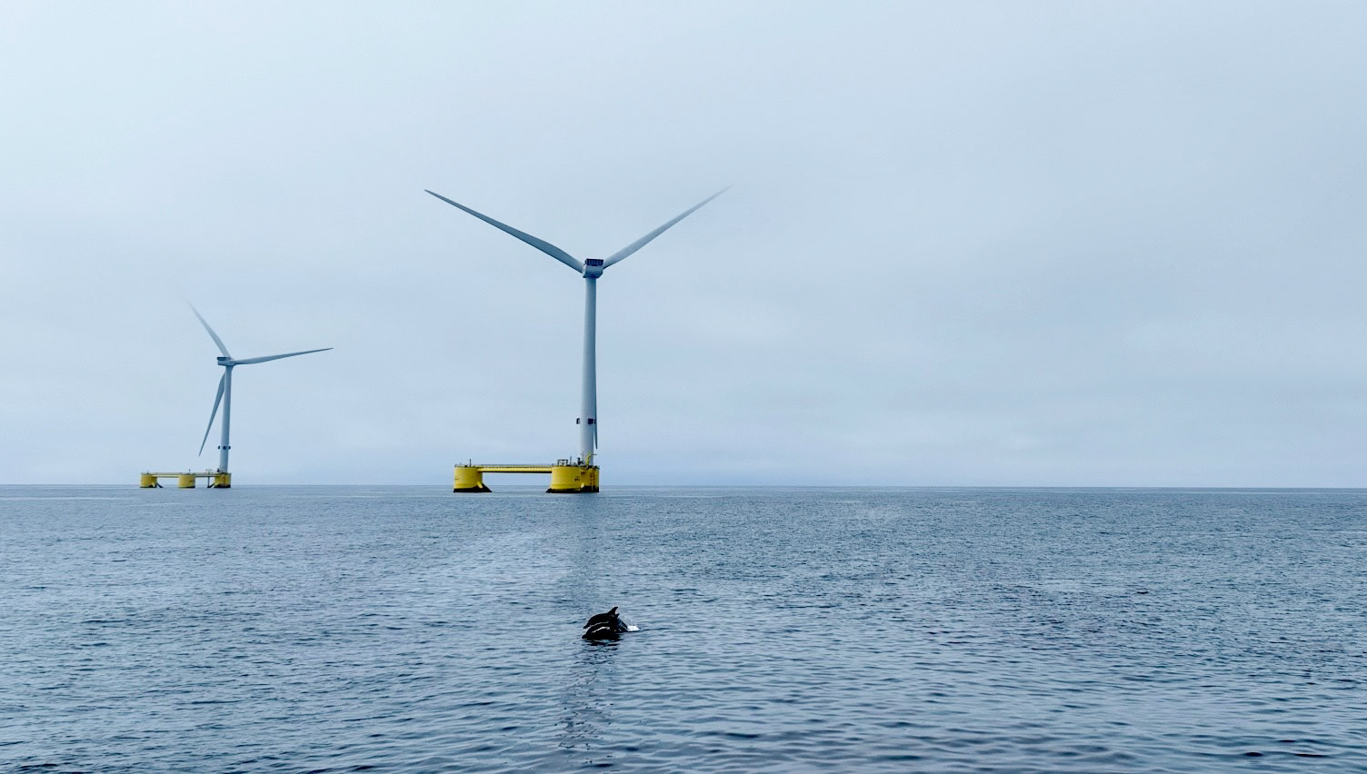 Dynamic Cables and Ancillary Systems – Market Projections - Floating ...